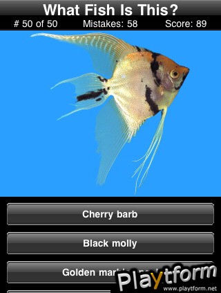 Name This Fish (iPhone/iPod)
