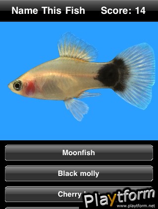 Name This Fish (iPhone/iPod)