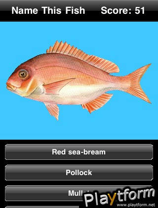 Name This Fish (iPhone/iPod)