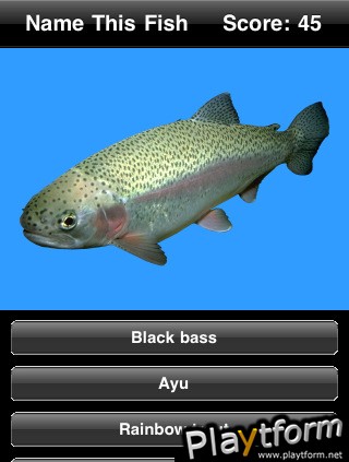 Name This Fish (iPhone/iPod)