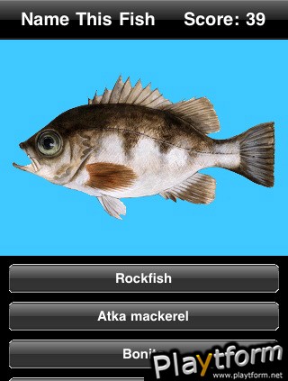 Name This Fish (iPhone/iPod)