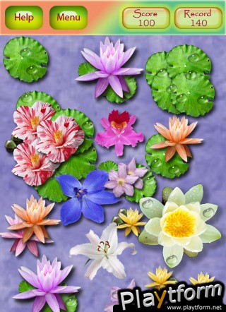 TryToRemember (iPhone/iPod)