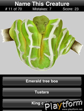 Name This Creature (iPhone/iPod)