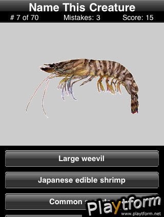 Name This Creature (iPhone/iPod)