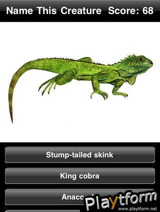 Name This Creature (iPhone/iPod)