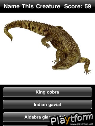 Name This Creature (iPhone/iPod)