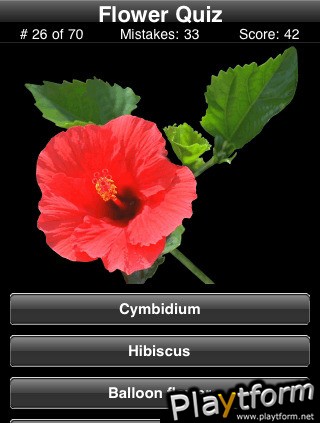 Name This Flower (iPhone/iPod)