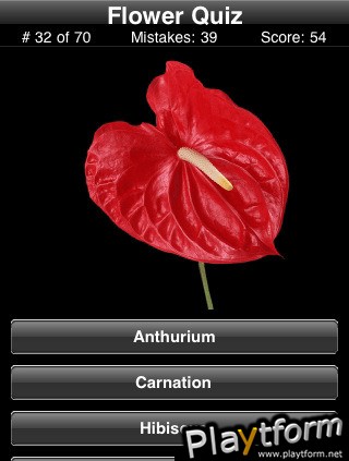 Name This Flower (iPhone/iPod)
