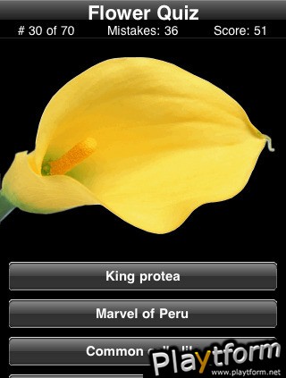 Name This Flower (iPhone/iPod)