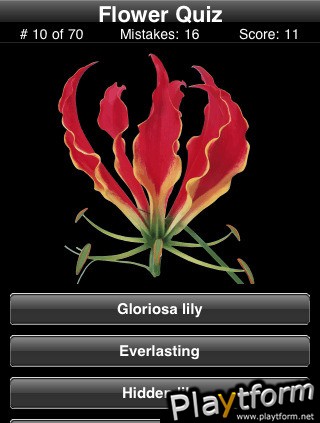 Name This Flower (iPhone/iPod)