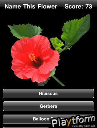 Name This Flower (iPhone/iPod)