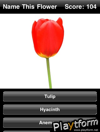 Name This Flower (iPhone/iPod)