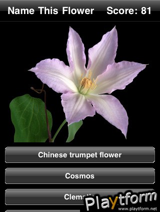 Name This Flower (iPhone/iPod)