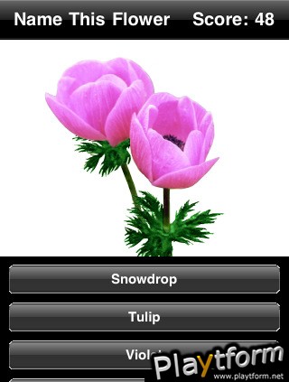 Name This Flower (iPhone/iPod)