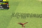 Cricket (Wii)
