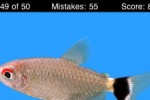 Name This Fish (iPhone/iPod)