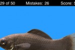 Name This Fish (iPhone/iPod)