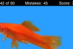 Name This Fish (iPhone/iPod)