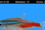 Name This Fish (iPhone/iPod)