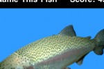 Name This Fish (iPhone/iPod)