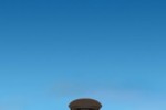 Farm Idol (iPhone/iPod)
