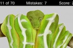 Name This Creature (iPhone/iPod)