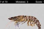 Name This Creature (iPhone/iPod)