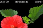 Name This Flower (iPhone/iPod)