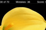 Name This Flower (iPhone/iPod)