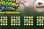 Coin Flipper Puzzle (iPhone/iPod)