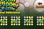Coin Flipper Puzzle (iPhone/iPod)