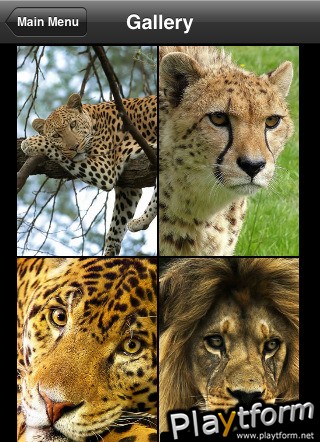 Animal Puzzle: Play & Learn (iPhone/iPod)