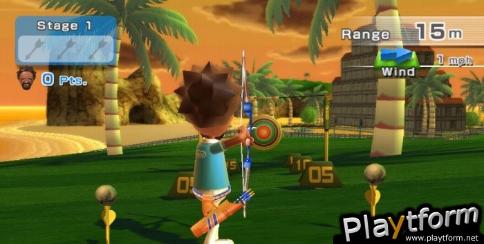 Wii Sports Resort (Wii)