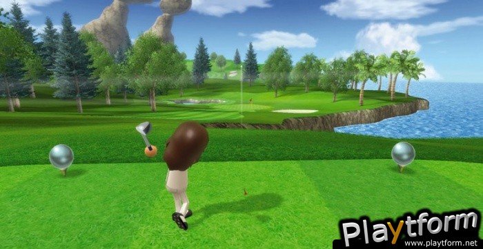 Wii Sports Resort (Wii)
