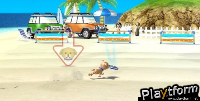 Wii Sports Resort (Wii)