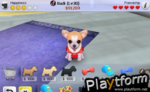 iPuppy Chihuahua (iPhone/iPod)