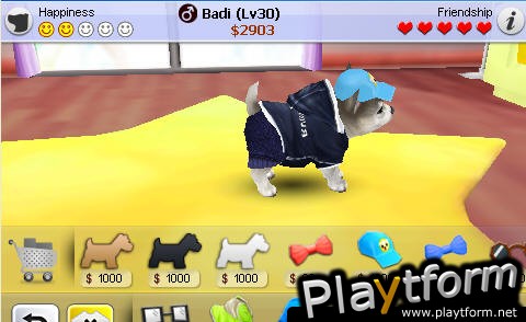iPuppy Husky (iPhone/iPod)