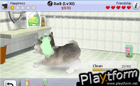 iPuppy Husky (iPhone/iPod)