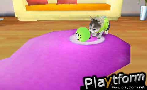 iPuppy Husky (iPhone/iPod)