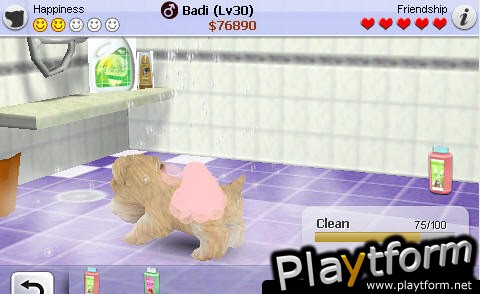 iPuppy Schnauzer (iPhone/iPod)