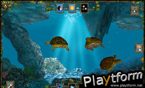 Turtle Pond (iPhone/iPod)
