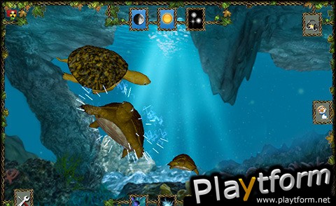 Turtle Pond (iPhone/iPod)