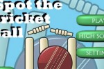 iSpot The Cricket Ball (iPhone/iPod)