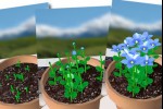Flower Garden (iPhone/iPod)