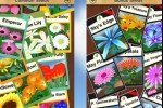Flower Garden (iPhone/iPod)
