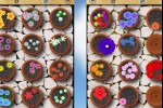 Flower Garden (iPhone/iPod)