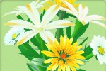 Flower Garden (iPhone/iPod)