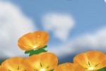 Flower Garden (iPhone/iPod)