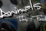 Animal Puzzle: Play & Learn (iPhone/iPod)