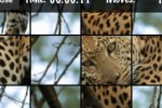 Animal Puzzle: Play & Learn (iPhone/iPod)